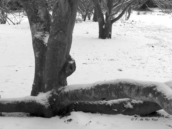 Bois des Moutiers Winterreise (24b)